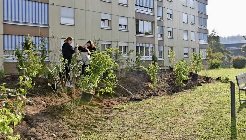 Pro Natura setzt sich seit über 80 Jahren für die Schaffung von mehr Naturgebieten im Kanton Schaffhausen ein. Hier in der Siedlung «Im Brüel» in Herblingen. Bild: Ella Ricci