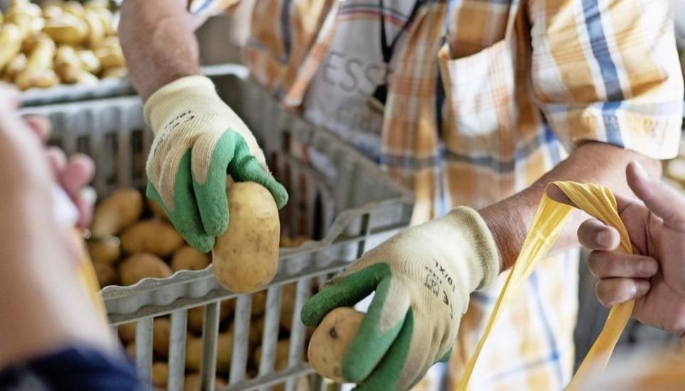 Anders als Heizöl, Diesel und Bezin kosten Kartoffeln weniger als vor einem Jahr. Bild: Key
