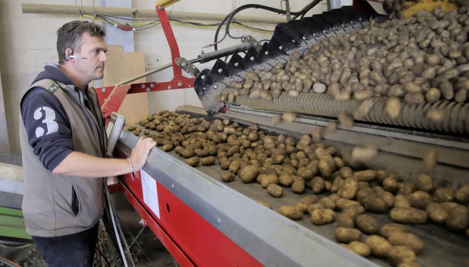 Bis zu 40 Tonnen pro Stunde können in Marthalen mit der Kalibrierungsanlage lose übernommen werden. Martin Germann überwacht den Prozess. Bild: Roland Müller