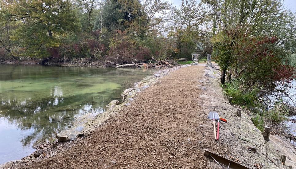 Wäre das Loch noch länger geblieben, hätte der Uferbereich austrocknen können und Wasserlebewesen wären gestorben. Bild: Radio Munot