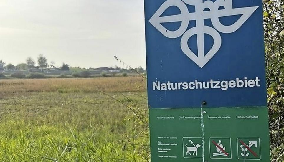 Landschaft mit Seltenheitswert: das Oerlingerried. Bild: ajo