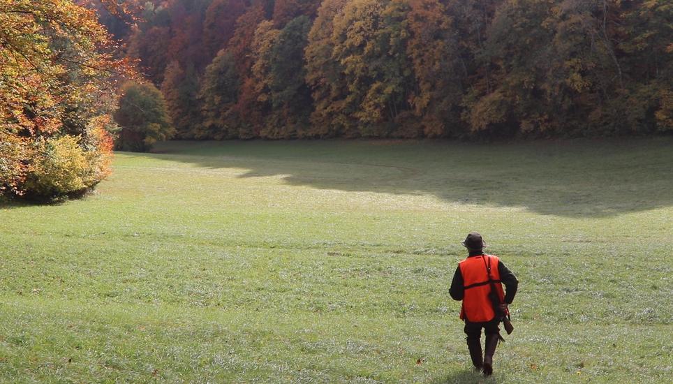 Wenn sich die Blätter verfärben, sind auch die Jäger nicht fern vom Wald. Bild: Eva Kunz