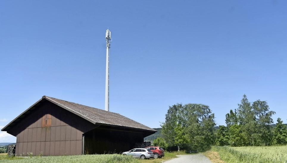 Die Sunrise UPC wartet nun auch noch auf die zweite Bewilligung bei der bereits ebenfalls schon bestehende Mobilfunkanlage «Loriswis» an der Umgehungsstrasse von Basadingen. Bild: tgü