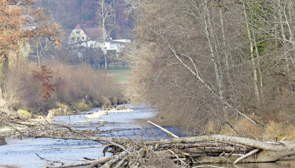 Das grösste Wasserbauprojekt des Kantons konnte erfolgreich umgesetzt werden. Davon profitieren Mensch, Flora und Fauna. Bilder: Theo Kübler