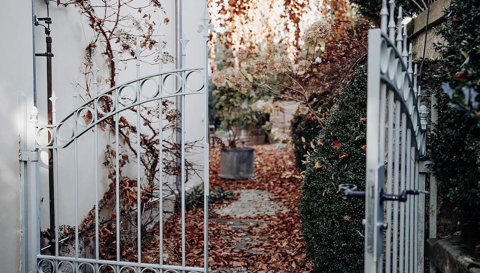 Der Herbst hat Einzug gehalten: Ein Blick in den Garten am Vordersteig 3. Bild: Roberta Fele