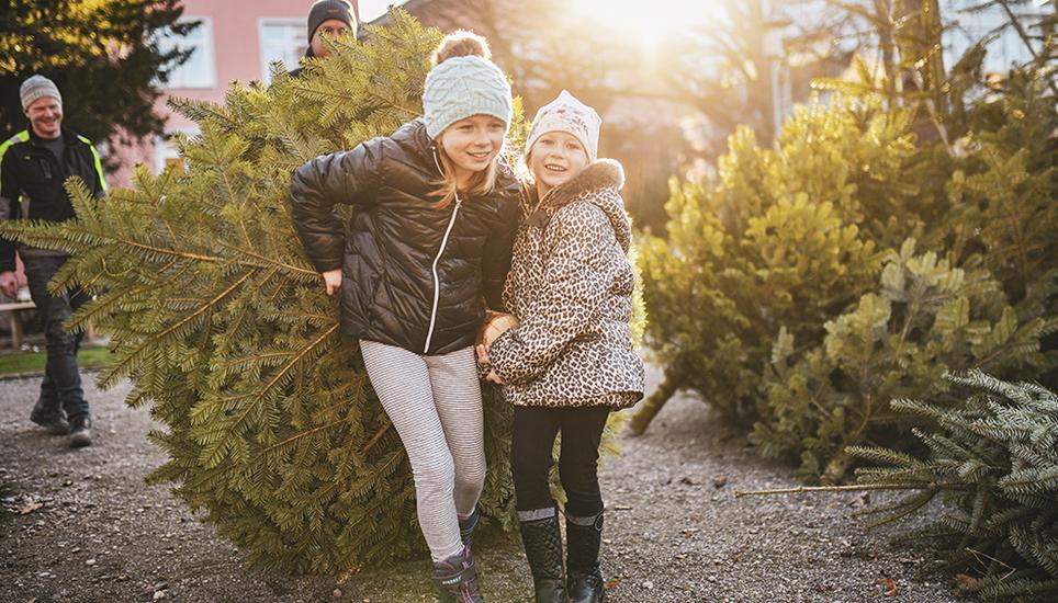 Die Schwestern Romina und Daria sind sich einig, dieser Christbaum soll es sein. Selbstverständlich packen sie da auch selbst mit an, um ihrem Baum ein neues Zuhause zu schenken. Bild: Melanie Duchene