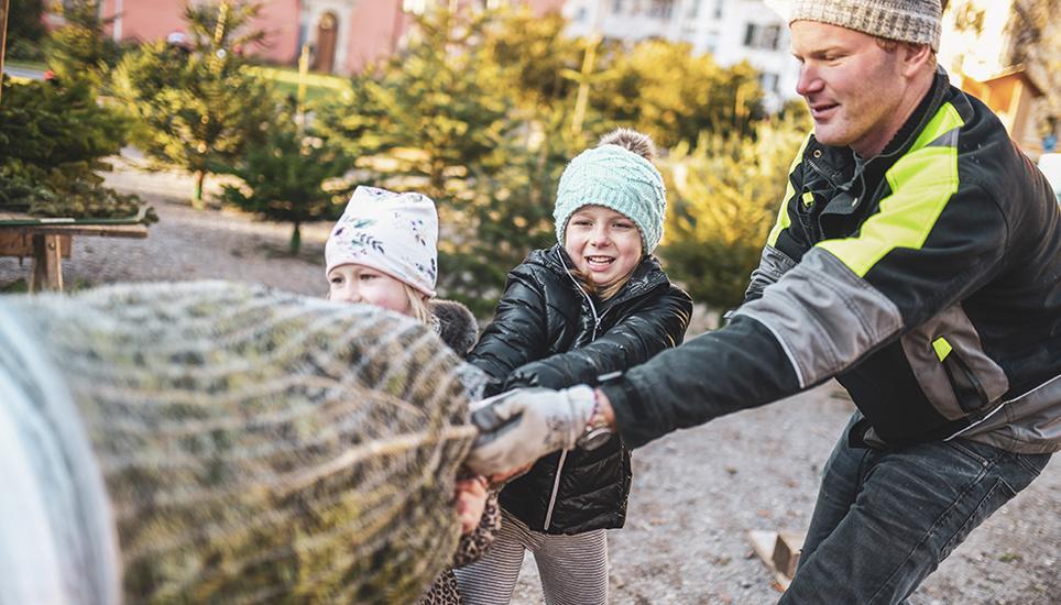 Ohne zu zögern gehen die beiden Mädchen Christbaumverkäufer David Schmid zur Hand. Begegnungen wie diese schätzt er besonders an seinem Beruf. Melanie Duchene