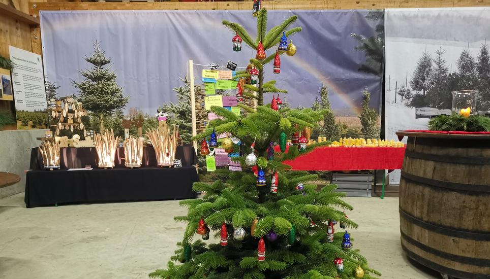 Manche entsorgen ihren Christbaum samt Schmuck. Bild: Radio Munot
