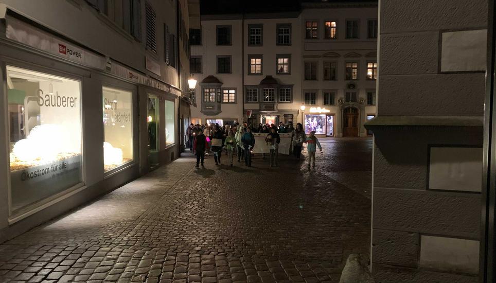 Mahssnahmengegner in der Schaffhauser Altstadt. Bild: dmu
