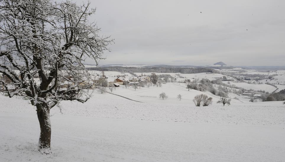 Im Winter ein beliebtes Ausflugsziel: Der Randen.