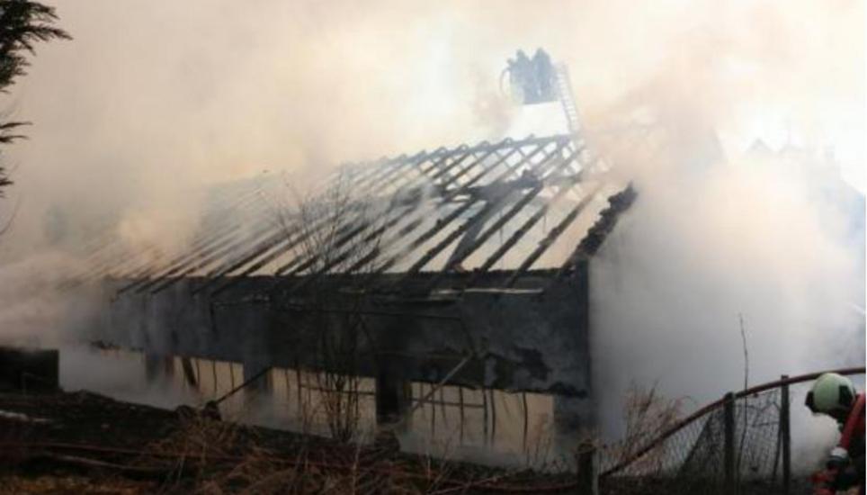 Die Lagerhalle brannte komplett aus. Bild: KapoZH