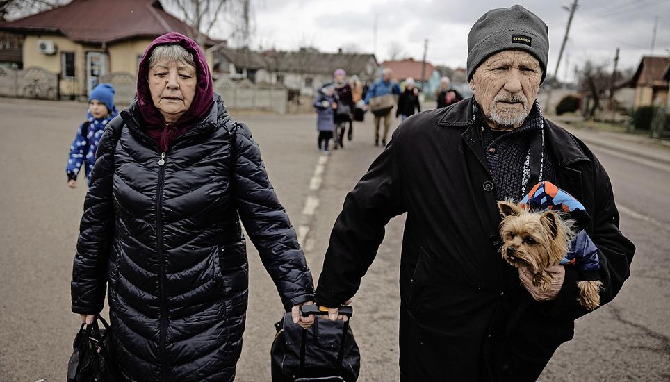 Ukrainische Kriegsflüchtlinge dürfen ihre Hunde und Katzen mitnehmen. Bild: Key