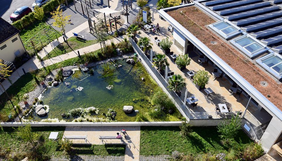 Die Aussenanlage des Schönbühls gleicht mit Wasser und Begrünung einer Oase.