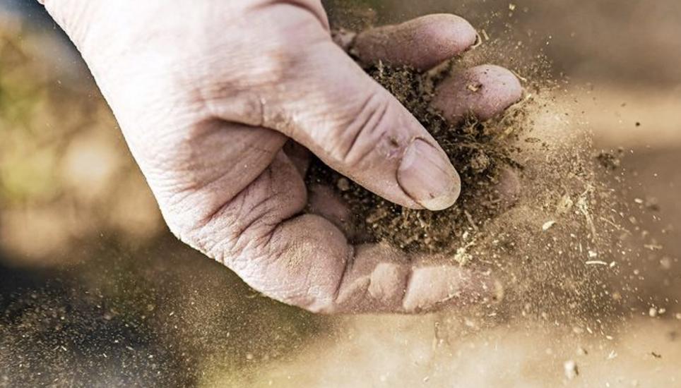 Um beispielsweise Dürren zu begegnen, hat der Kanton eine Klimastrategie. Bild:mdu