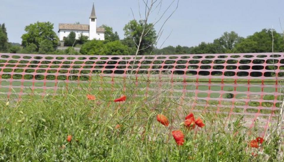 Bei der Kiesgrube am Ortsausgang bei Büsingen finden sich mittlerweile verschiedene Lebensräume im sich entwickelnden Biotop. Bild: wüg