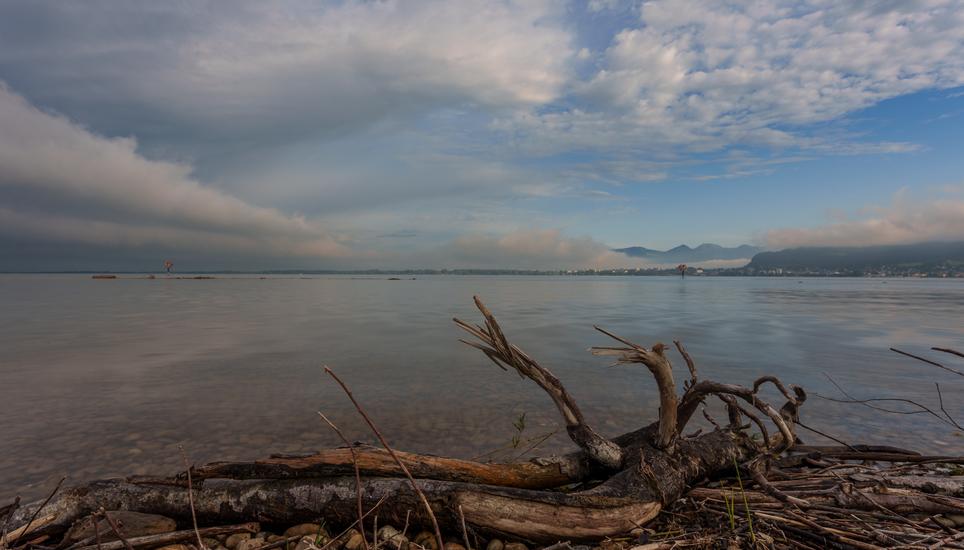 Ein wirklich traumhafter Blick auf den Bodensee. Bild: Markus Bruggmann