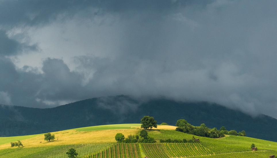 Der Lugmer strahlt in starkem Kontrast zum dunklen, mit Wolken verhangenen «Lange Randen». Bild: Theo Kübler