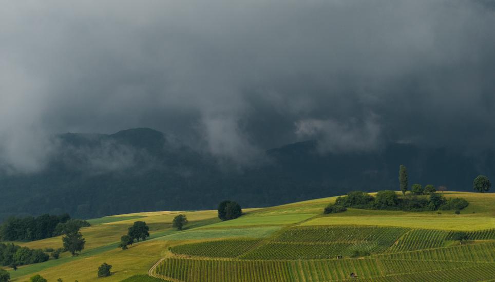 Auch das Regenwetter ist ein guten Landschaftsmaler, wie dieses Bild hier beweist. Bild: Theo Kübler