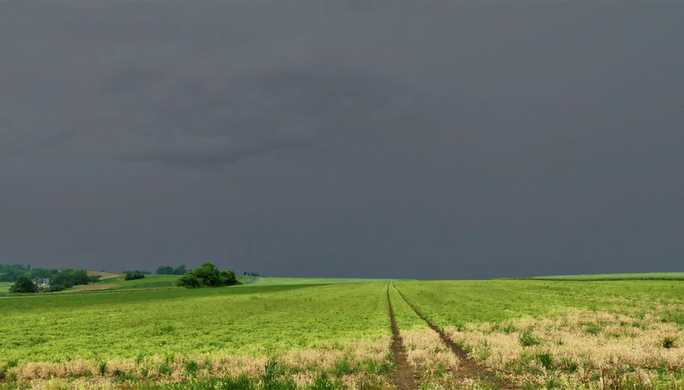 Zwischen dem Schwarzwald und der Siblingerhöhe braut sich wahrscheinlich ein Gewitter zusammen. Bild: Theo Kübler
