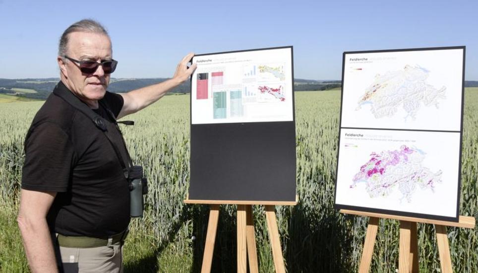 Der Ornithologe Stephan Trösch erklärt den Rückgang des Feldlerchenbestands in den Klettgauer Feldlandschaften. Bild: Lina Schepler
