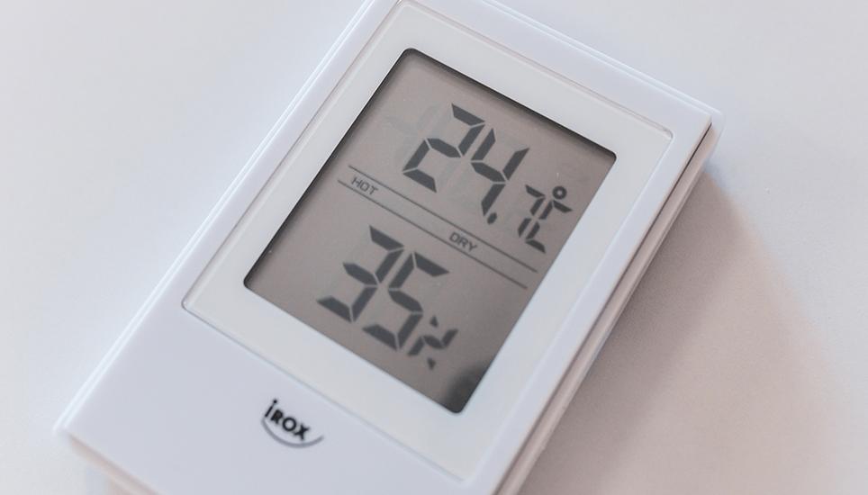 Bei solchen Temperaturen ist jeder kühle Ort willkommen.