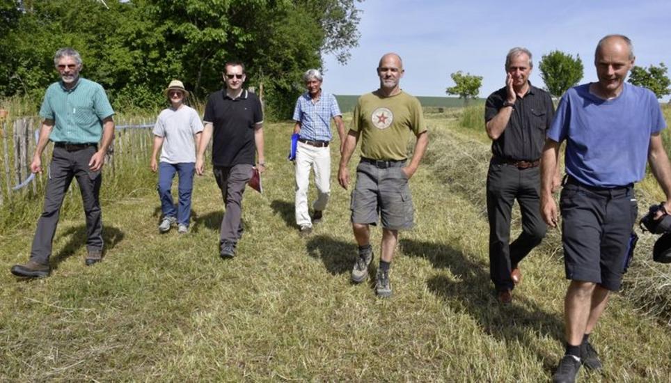 Besichtigten die Hecke in Basadingen (v.l.) Jakob Hug (Wald Schweiz), Iris Gamper (WWF Thurgau), Sebastian Menzel (Landwirtschaftsamt Thurgau), Alfred Brülisauer (WWF St. Gallen), Philipp Hanhart, Jürg Fatzer und Peter Schweizer vom VTL. Bild: tgü