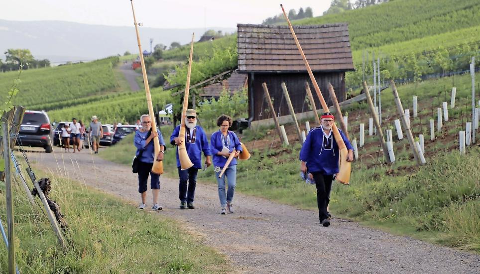 Von Rebhäuschen zu Rebhäuschen pilgerten am Samstagabend in Hallau die Alhornbläserinnen und -bläser. Bild: Roland Müller