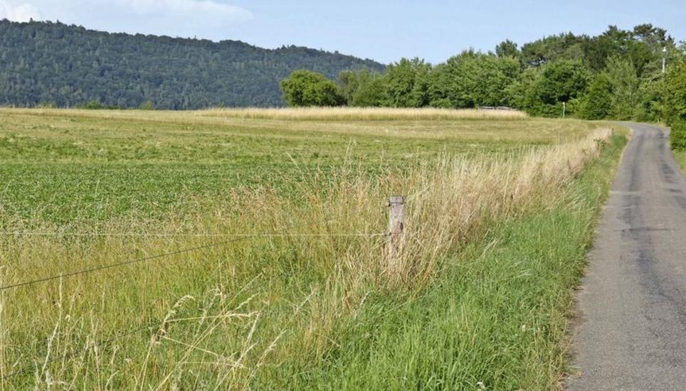 Noch verläuft er hier in einer Röhre im Boden. Bald soll der Chräbsbach in Etzwilen aber wieder natürlich fliessen. Bild: Thomas Martens