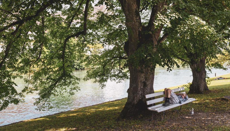 Eine lauschige Sitzgelegenheit sucht man meist nicht nur einmal auf. Diese Person hat es sich auf einem Bänkli in Rheinau gemütlich gemacht. Bild: Melanie Duchene