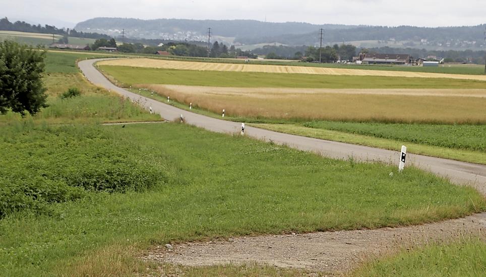 Der Strassenabschnitt zwischen Alten und Marthalen. Bild: Roland Müller