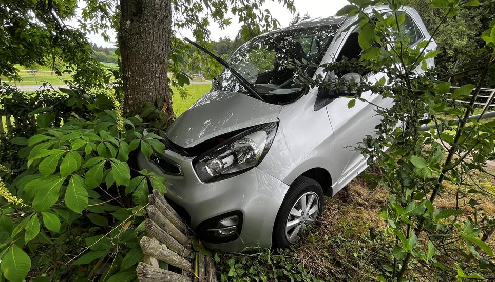 Eine 82-jährige Frau knallte mit ihrem Wagen gegen einen Baum in Diessenhofen. Bild: Kapo TG