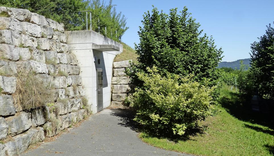 Das Steiner Wasserwerk ist defizitär. Im Bild das Reservoir Erle, das Quellwasser vom Faleberg fasst. Bild: Ursula Junker