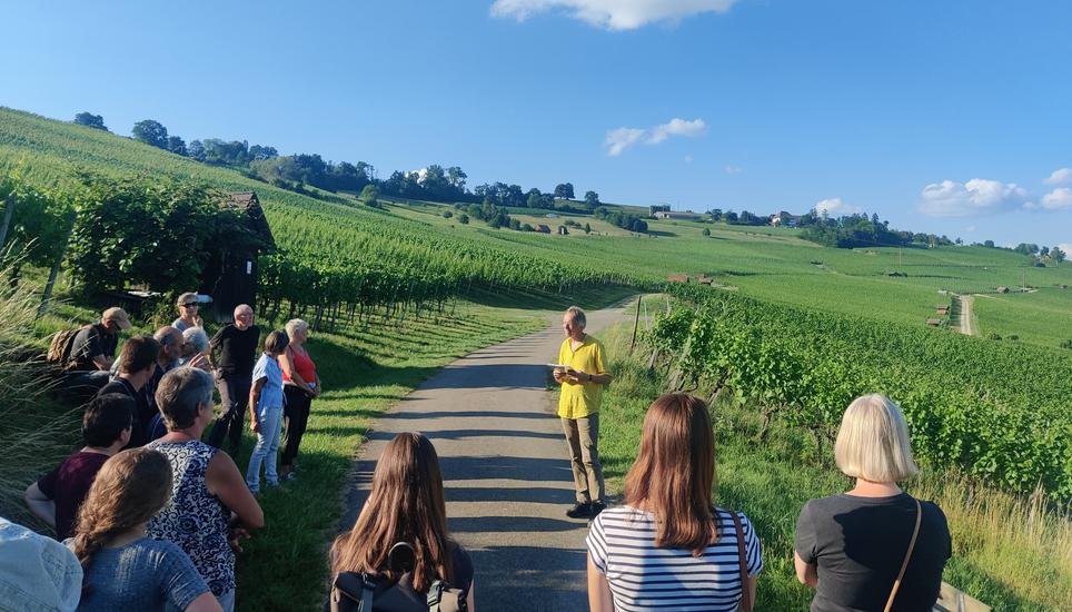 Auf der Suche nach besonders ruhigen Orten zum Wohlfühlen. Im Kanton Schaffhausen gibt es drei solcher Gebiete, darunter den Südranden und den Hallauerberg. Bild: Radio Munot