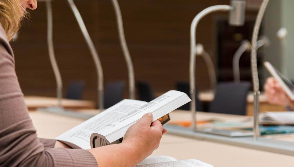 Bachelor-, Master- und Doktorats-Studiengänge am HSSH sollen künftig national und international anerkannt werden. Bild: Pixabay