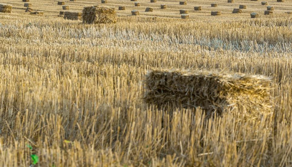 Auf einem Feld zwischen Lauchringen und Klettgau-Griessen fingen Strohballen an zu brennen, nachdem sie gepresst wurden. Bild: Pexels