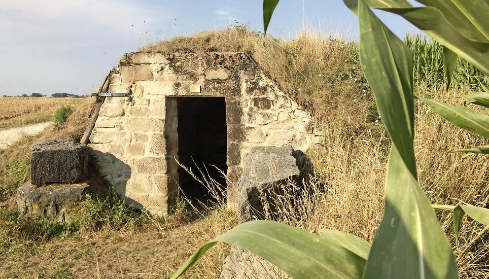 In der Traubenhütte übernachteten Wächter, welche rund um die Uhr ein Auge auf die begehrten Trauben hatten. Bild: zVg