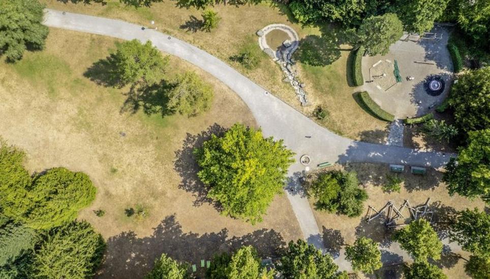 Natürlicher Sonnenschutz: Im Promenadenpark spenden einige Bäume hochwillkommenen Schatten.