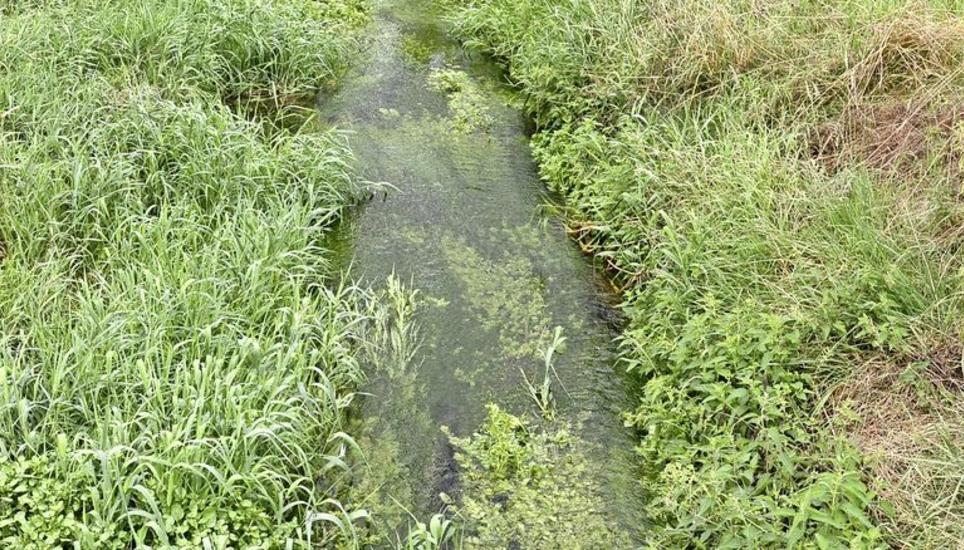 Der Mülibach gleich im Anschluss an die Entnahmestelle an der Brücke bei der Furtmühle. Wie zu sehen ist, führt der Bach ausreichend Wasser. Bild: tma