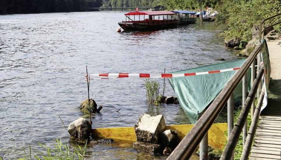 Ein kalter Grundwasserausfluss dient den erschöpften Äschen und Forellen wenige Schritte unterhalb des Rheinfalls etwas Erholung und Schatten. BILDER GLORIA MÜLLER