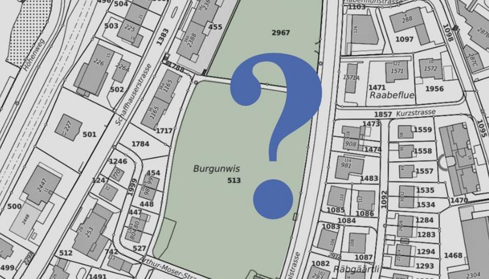 Die Burgunpark- Initianten fordern einen ganzflächigen Park, wollen aber selbst keine Vorgaben dazu machen. Grafik: Geoportal Schaffhausen/SN