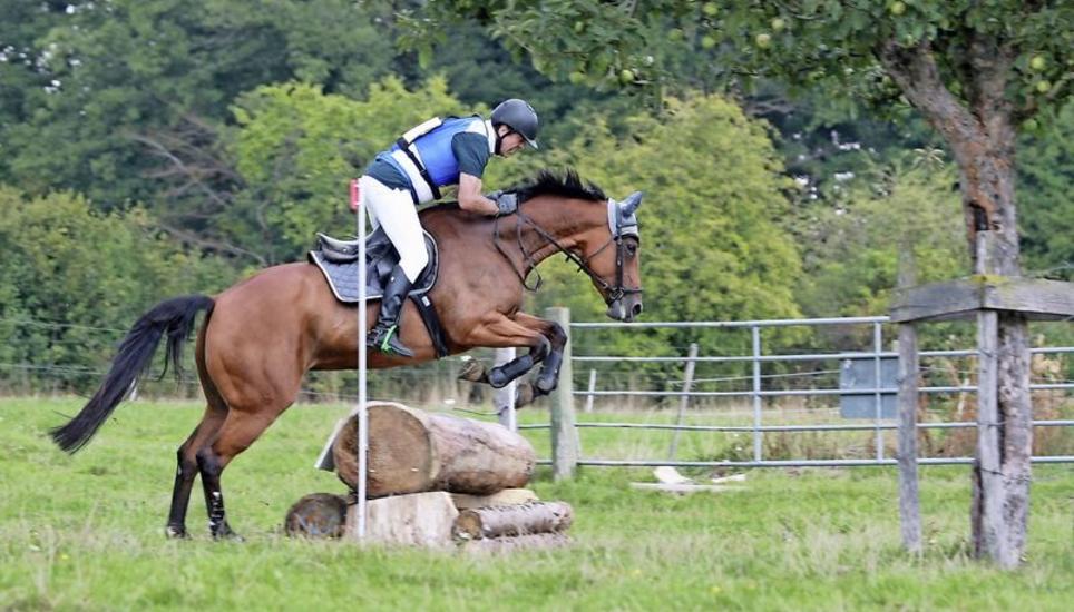 Für den Reitverein Schaffhausen im Gelände unterwegs: Kurt Wäckerlin mit Alison B. Bild: Tamara Acklin