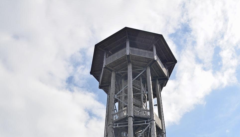 Der Aussichtsturm Hochwacht bei Wildensbuch. Bild: Alexander Joho