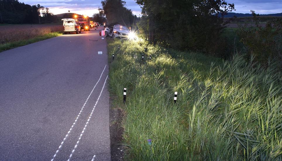 Nach einer Linkskurve verlor ein 26-Jähriger die Kontrolle über sein Fahrzeug und prallte seitwärts heftig gegen einen Baum. Bild: zVg/Kapo ZH