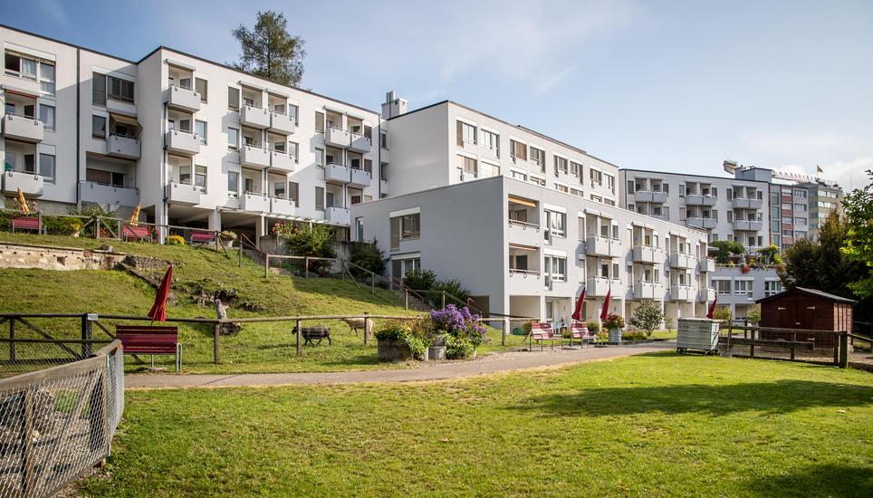Eine Sanierung des Altersheim Schindlergut ist für den Gemeinderat nicht sinnvoll. Bild: Roberta Fele