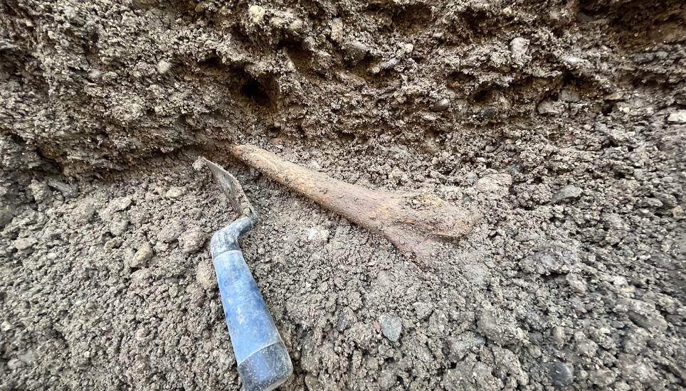 Bei den Grabungen kamen jede Menge Knochen zum Vorschein. Bild: Radio Munot