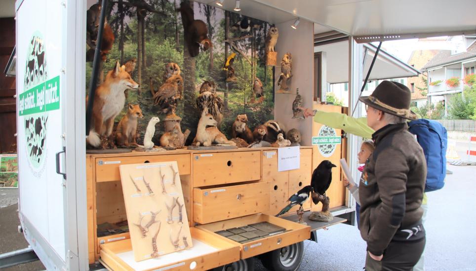 Die von der Jagdgesellschaft Kohlfirst betreute Sonderschau Jagd erwies sich als Publikumsmagnet, indem die Besucher vieles rund um das einheimische Wild und die Aufgaben der Jagd lernen durften.