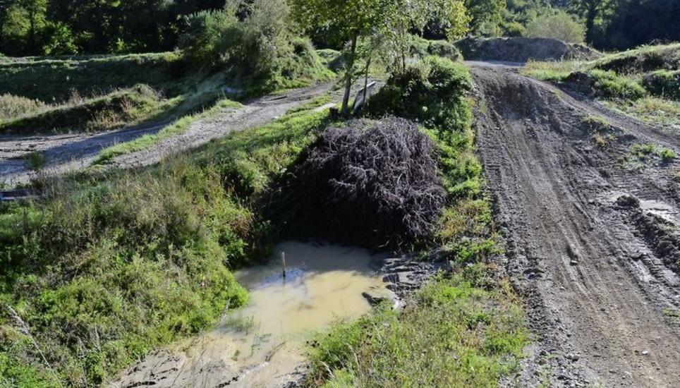Tümpel und andere reich strukturierte Lebensräume haben dazu geführt, dass die Motocrosspiste Gishalde in Schlatt zu einem Amphibienschutzgebiet von nationaler Bedeutung wurde. Bild: Thomas Martens