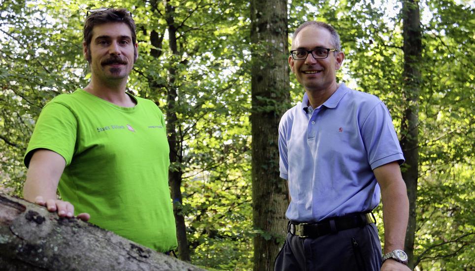 Thomas Kuhn, Förster des Reviers Bülach und Stefan Rechberger, Kreisforstmeister im Kanton Zürich, (v.l.) sorgen sich nicht um die Buchen. Bild: Brigitt Hunziker Kempf