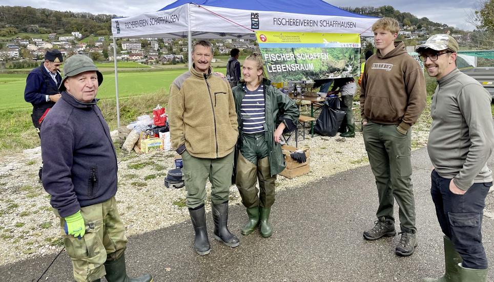 15 freiwillige Helfer des Schaffhauser Fischereiverbandes arbeiten an Wochenenden bei Wind und Wetter, damit die Fische in den Bach zurückkehren können. Bild: Gudrun Trautmann