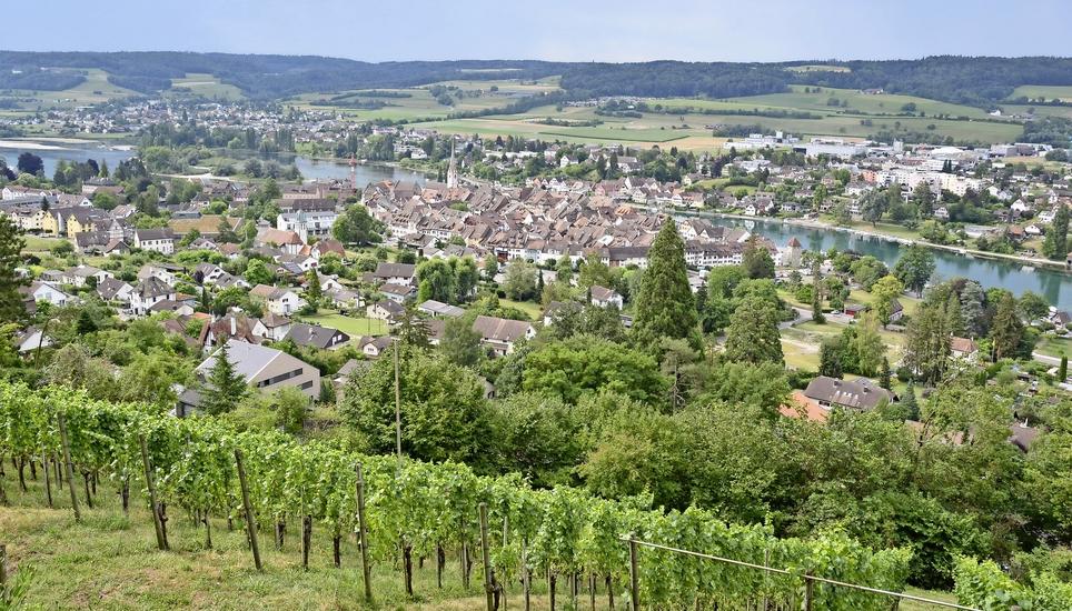 Im Steiner Gewerbegebiet (rechts hinten) und ausserhalb der Altstadt können auf vielen Dächern Fotovoltaikanlagen installiert werden. Wie es in der historischen Altstadt selbst aussieht, muss aber erst noch abgeklärt werden. Bild: Thomas Martens